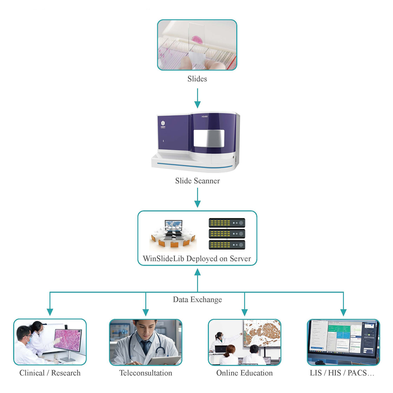 WinSlideLib Digital Slide Management Software