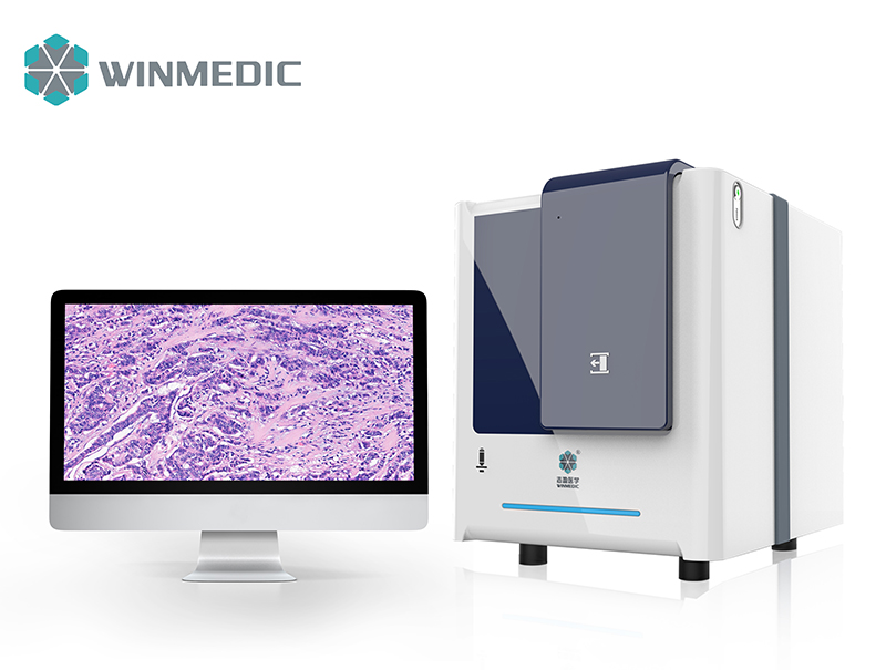 WINMEDIC's Presence at the 2024 Beijing Medical Association Pathology Annual Conference